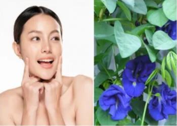 PEEL da (Thay da sinh vật học) trị mụn và những điều bạn cần biết