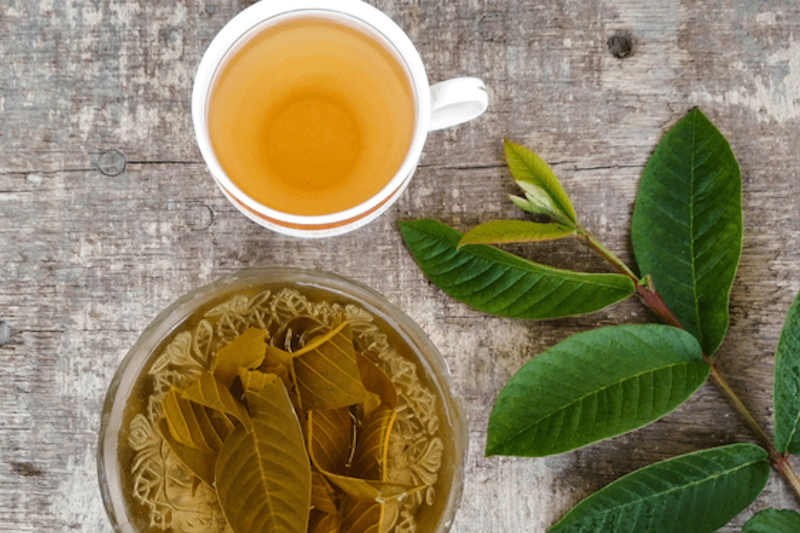 Uống trà lá ổi giảm cân, tan mỡ bụng: Phương pháp giữ dáng hiệu quả, tốt cho sức khỏe 